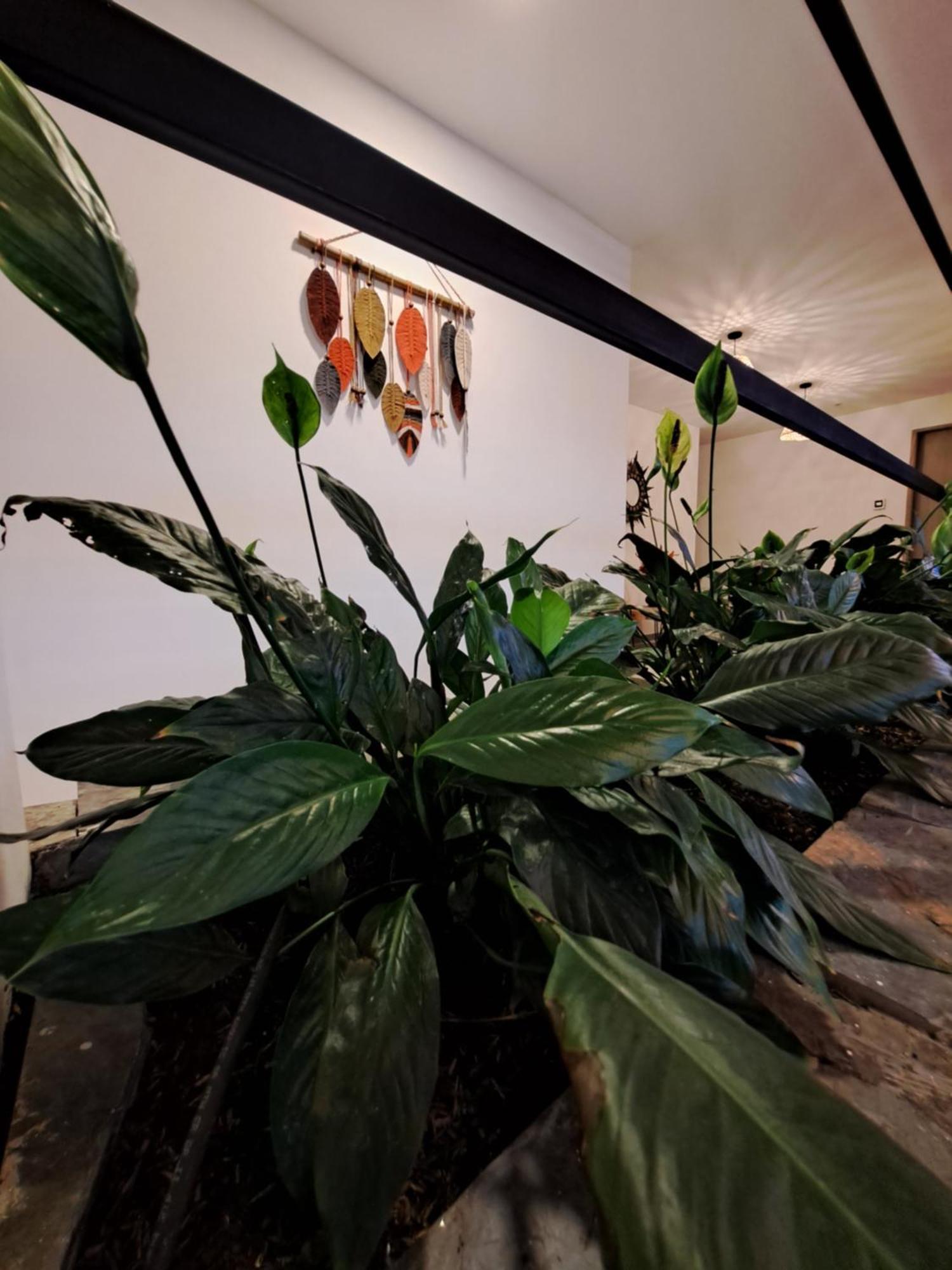 Guatape Country House Hotel Экстерьер фото